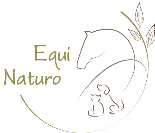 Logo Equi Naturo, client D-CISIF